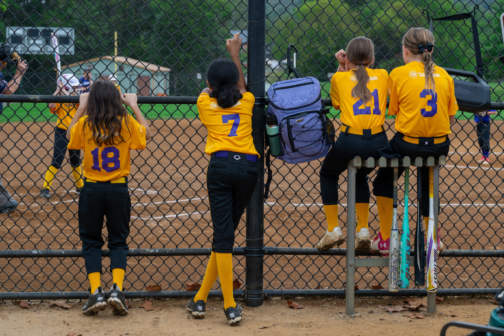Ashburn Girls Softball League